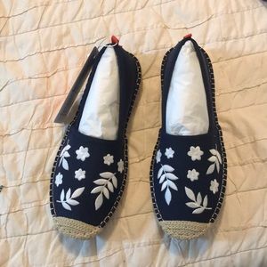 Seastar flats